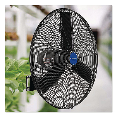 Global Industrial 2 Speed Oscillating Outdoor Rated Wall Mount Fan, 30" (292451)