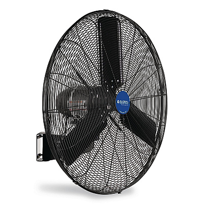 Global Industrial 2 Speed Oscillating Outdoor Rated Wall Mount Fan, 30" (292451)