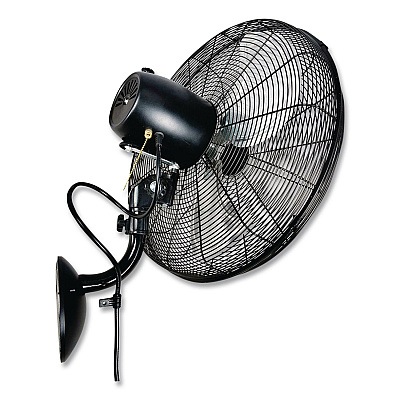 Global Industrial Industrial Wall Mounted Oscillating Fan, 20" (293130)
