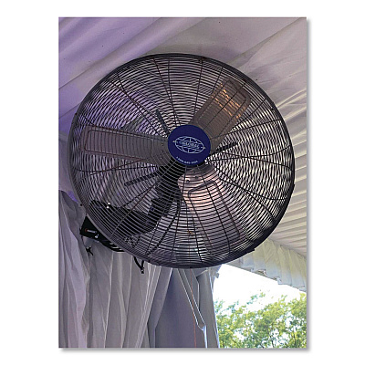 Global Industrial Industrial Wall Mounted Oscillating Fan, 20" (293130)