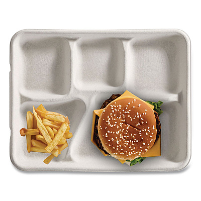 Chinet Savaday Molded Fiber Dinnerware, 5-Compartment Plate, Paper, 10.5" dia, White, 250/Carton (21040)