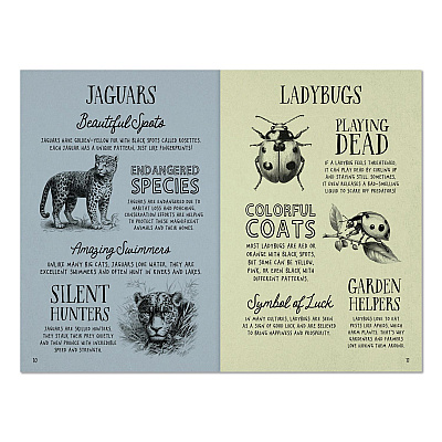 Animal Facts for Kids Softcover Book, Paperback, 112 Pages (49908)