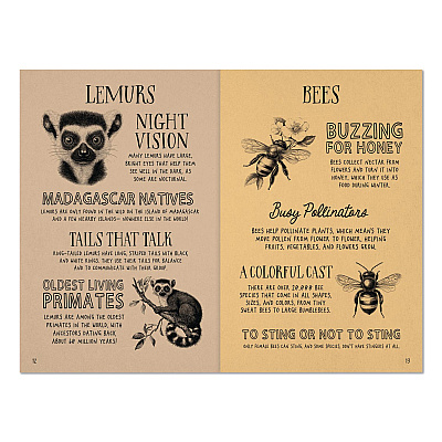 Animal Facts for Kids Softcover Book, Paperback, 112 Pages (49908)
