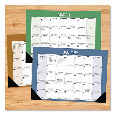 Bad Dad Jokes Monthly Desk Pad Calendar, 17 x 12, White/Multicolor Sheets, Black Headband/Corners, 12-Month (Jan to Dec) 2026 (57056)