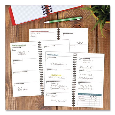 Celestial Softcover Weekly/Monthly Spiral Planner, 6.5 x 3.5, Black/Gold Cover, 12-Month (Jan to Dec): 2026 (57322)