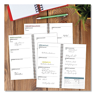 Woodland Mushroom Softcover Weekly/Monthly Spiral Planner, 6.5 x 3.5, Multicolor Cover, 12-Month (Jan to Dec): 2026 (57360)