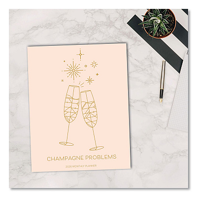 Problems Monthly Planner, 9.5 x 7.5, Champagne Cover, 12-Month (Jan to Dec): 2026 (58541)