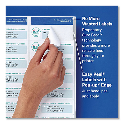 Avery Easy Peel White Address Labels with Sure Feed Technology, Laser, 1 x 2.63, 30/Sheet, 100 Sheets/Pack, 5 Packs/Carton (5160CT)