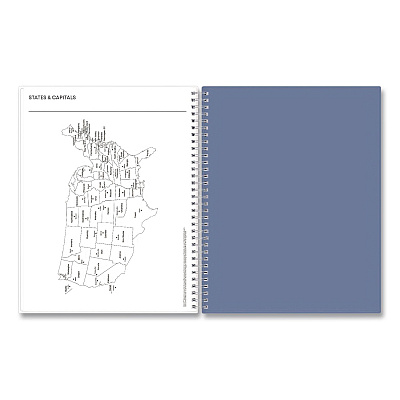Blue Sky Tanya Blue Academic Year Daily Planner, Abstract Artwork, 11 x 8.5, Multicolor Cover, Supports Four Academic Years: 2025-2028 (156259)