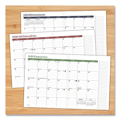 Problems Monthly Planner, 9.5 x 7.5, Champagne Cover, 12-Month (Jan to Dec): 2026 (58541)
