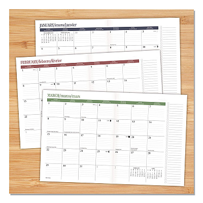 Magic Mushroom Monthly Planner 7.5 x 9.5, Multicolor Cover, 12-Month (Jan to Dec): 2026 (57575)