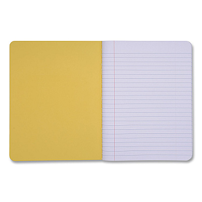 DesignWorks Ink Designer Composition Book, Randomly Assorted Banana and Strawberry Cover Designs, Wide/Legal Rule, (80) 9.75 x 7.5 Sheets (TCOMPA114ST)