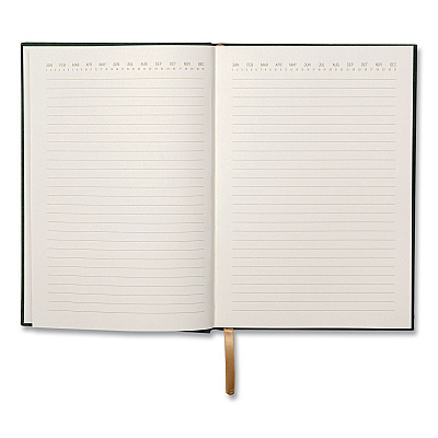 DesignWorks Ink Hardcover Journal, Narrow Rule, Green/Gold Soft-Touch Synthetic Suede Cover, (80) 7.88 x 5.5 Sheets (TJB5824ST)