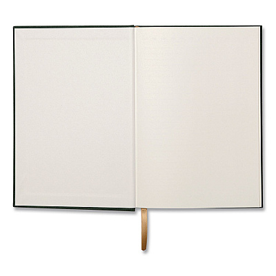 DesignWorks Ink Hardcover Journal, Narrow Rule, Green/Gold Soft-Touch Synthetic Suede Cover, (80) 7.88 x 5.5 Sheets (TJB5824ST)