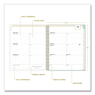 Blue Sky Day Designer Secret Garden Mint Academic Weekly/Monthly Twin-Wire Notes Planner, 11 x 8.5, 12-Month: July 2025 to June 2026 (137896A26)