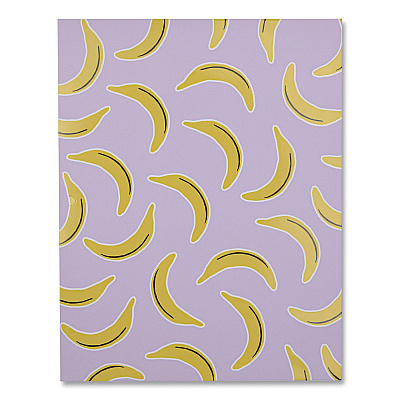 DesignWorks Ink Fruit Themed Laminated Two-Pocket Folder, Randomly Assorted Designs, 3-Hole Punched, 11 x 8.5, Randomly Assorted Colors (TPFA114ST)
