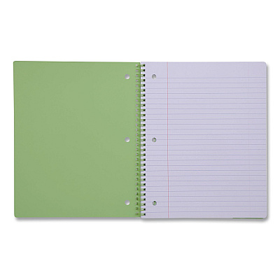 DesignWorks Ink Twin-Wire Notebook, Randomly Assorted Banana and Strawberry Cover Designs, 1-Subject, Wide/Legal Rule, (80) 10.5 x 8.5 Sheets (TTWSA114ST)