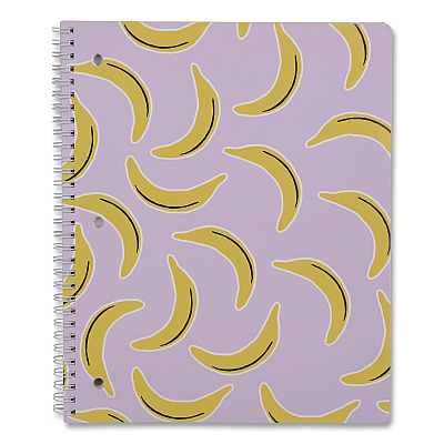 DesignWorks Ink Twin-Wire Notebook, Randomly Assorted Banana and Strawberry Cover Designs, 1-Subject, Wide/Legal Rule, (80) 10.5 x 8.5 Sheets (TTWSA114ST)