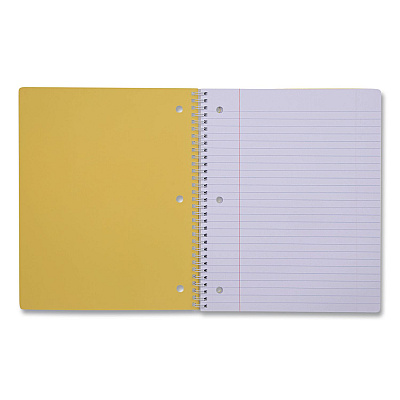 DesignWorks Ink Twin-Wire Notebook, Randomly Assorted Banana and Strawberry Cover Designs, 1-Subject, Wide/Legal Rule, (80) 10.5 x 8.5 Sheets (TTWSA114ST)