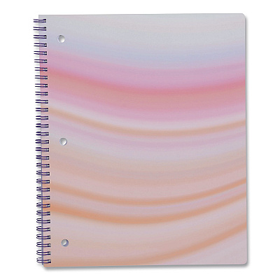 DesignWorks Ink Twin-Wire Notebook, Randomly Assorted Pastel Marble Cover Designs, 1-Subject, Medium/College Rule, (80) 10.5 x 8.5 Sheets (TTWSA115ST)