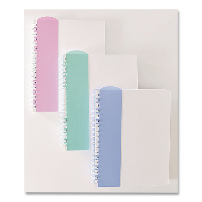 Carolina Pad Noted Neutrals Ideal Notebook, Management Format with College Ruling, Randomly Assorted Cover Colors, (100) 9.5 x 7.35 Sheets (13008)