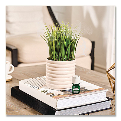 Lifelines Evaporative Aromatherapy Essential Oil Grass Plant Diffuser with Fir Needle and Pine Essential Oil, 6.2 x 9.5, White/Green (111608)