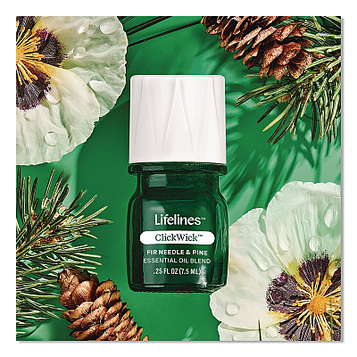Lifelines Evaporative Aromatherapy Essential Oil Grass Plant Diffuser with Fir Needle and Pine Essential Oil, 6.2 x 9.5, White/Green (111608)