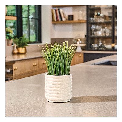 Lifelines Evaporative Aromatherapy Essential Oil Grass Plant Diffuser with Fir Needle and Pine Essential Oil, 6.2 x 9.5, White/Green (111608)