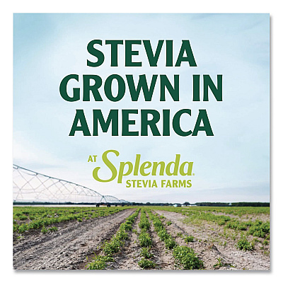 Splenda Stevia Sweetener Packet, 0.04 oz, 400/Box (HFP00613)
