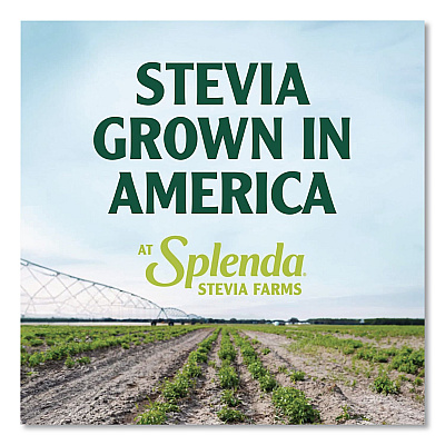 Splenda Stevia Sweetener Pack, 0.04 oz, 1,000/Carton (HFP00615)