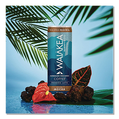 Waiakea Hawaiian Volcanic Cold Brew Coffee, Mauna Mocha, 11 oz Can, 12/Carton (NOV00627)