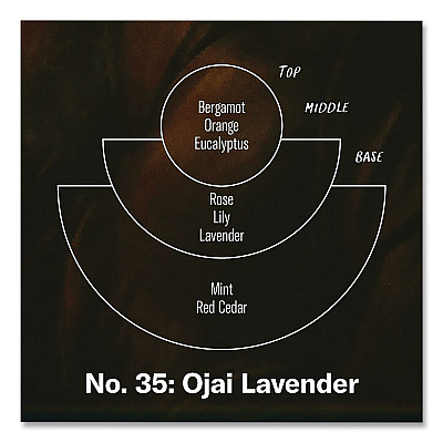 P.F. Candle Co. Ojai Lavender Soy Candle, 40 to 50 Hours Burn Time, 2.9 d x 3.5 h, 7.2 oz, Amber (SC35)