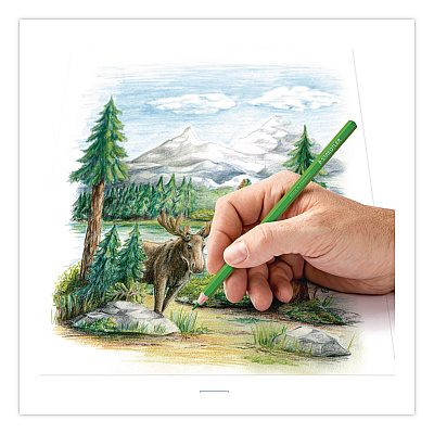 Staedtler Colored Pencils, 4 mm, Assorted Lead and Barrel Colors, 72/Set (1270C72A6)