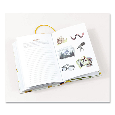 Chronicle Books Guided Journal: A Life of Gratitude by Lori Roberts, Yellow Cover, (224) 7.25 x 5.37 Sheets (978145216431)