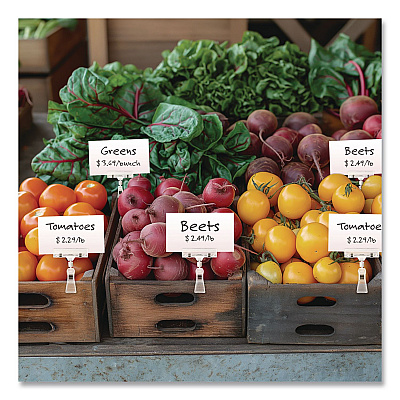 Global Printed Products Sign Holder Clips, Clear, 10/Pack (CLIP10PK)