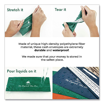 Budgeting Envelope System, 6.7 x 3.3, Assorted Colors (A5CKFZL2WN)