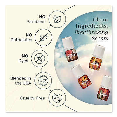 Lifelines ClickWick Sunkissed Escape Essential Oil Set, Coconut Hibiscus/Desert Winds/Peach Velvet/Vanilla Tangerine, 0.25 oz Bottle (LL113008)