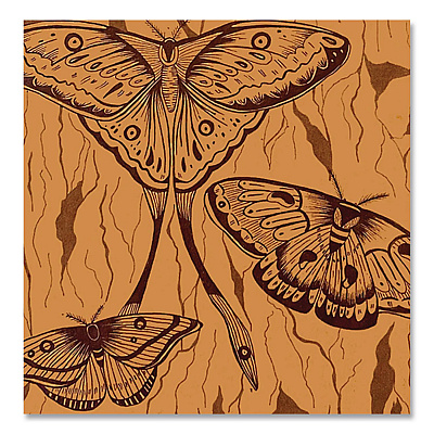 Spiral Composition Book, Medium/College Rule, Midnight Moths, (80) 9.75 x 7.5 Sheets (17457)