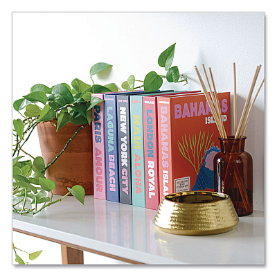 DesignWorks Ink Magnetic Storage Book Box, Maui, 7.5 x 1.75 x 9.75, Green (TBBX104)