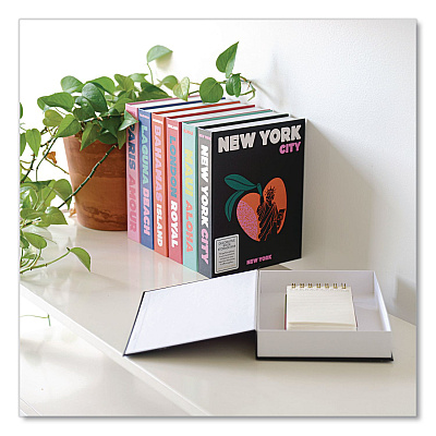 DesignWorks Ink Magnetic Storage Book Box, New York, 7.5 x 1.75 x 9.75, Black (TBBX105)