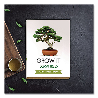 Bonsai Tree Grow Kit (GR200067)