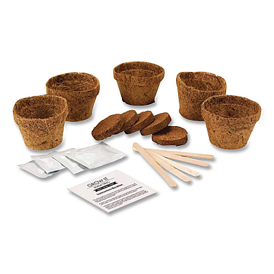 Bonsai Tree Grow Kit (GR200067)