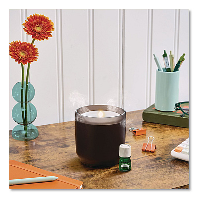 Lifelines Aromatherapy Essential Oil Flameless Candle Diffuser, Fir Needle and Pine Scent Essential Oil, 5 x 5 x 5, Frosted Glass (111612)