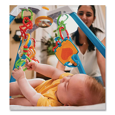 Play Gym, Ages Infant to 18 Months (NS0700)