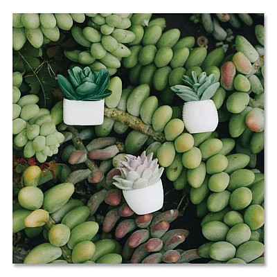 U Brands Succulent Push Pins, Green, 9/Pack (3616U0624)