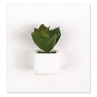 U Brands Mini Succulent Fashion Magnet Set, Assorted Colors/3 Designs, 12/Pack (4943U0624)