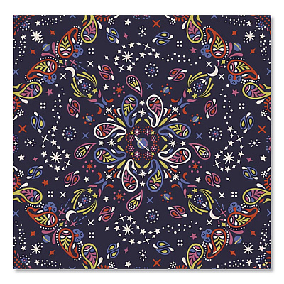 Insulated Lunch Bag, 7.25 x 4.25 x 9, Starry Paisley (5050822510)