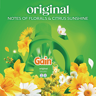 Liquid Laundry Detergent, Gain Original Scent, 19 Loads, 25 oz Bottle, 6/Carton (23233CT)