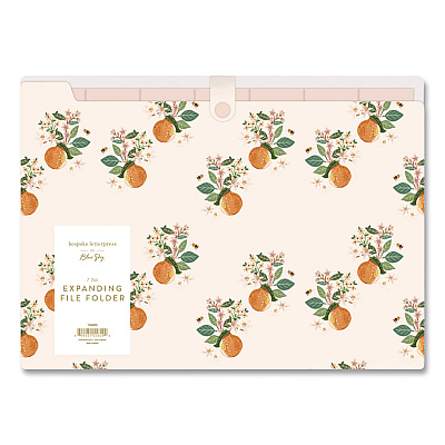 Blue Sky 7-Tab Plastic Accordion File, 7 Sections, Snap Closure, Top Tabs, Legal Size, Oranges Light (155609)
