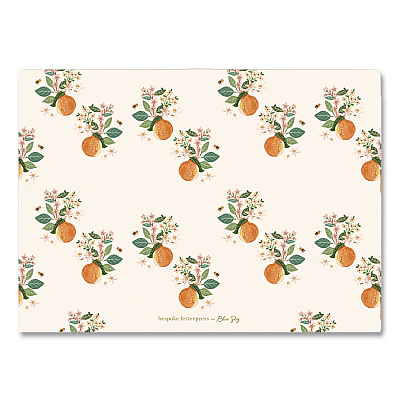 Blue Sky 7-Tab Plastic Accordion File, 7 Sections, Snap Closure, Top Tabs, Legal Size, Oranges Light (155609)